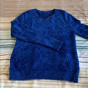 Blue sweater